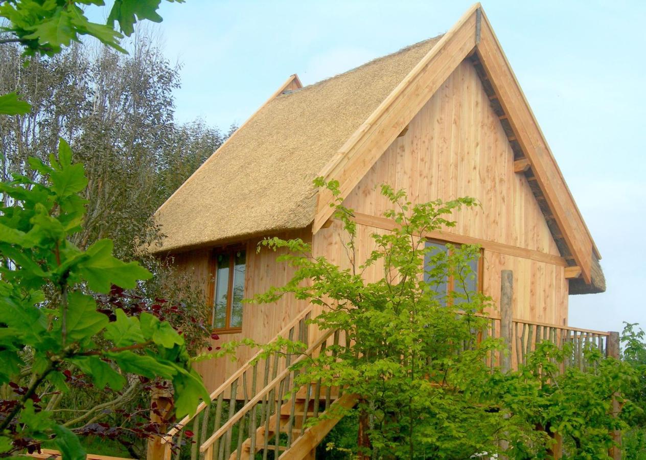 Chambres D'Hotes Le Nid D'Iroise Lanildut Exteriör bild