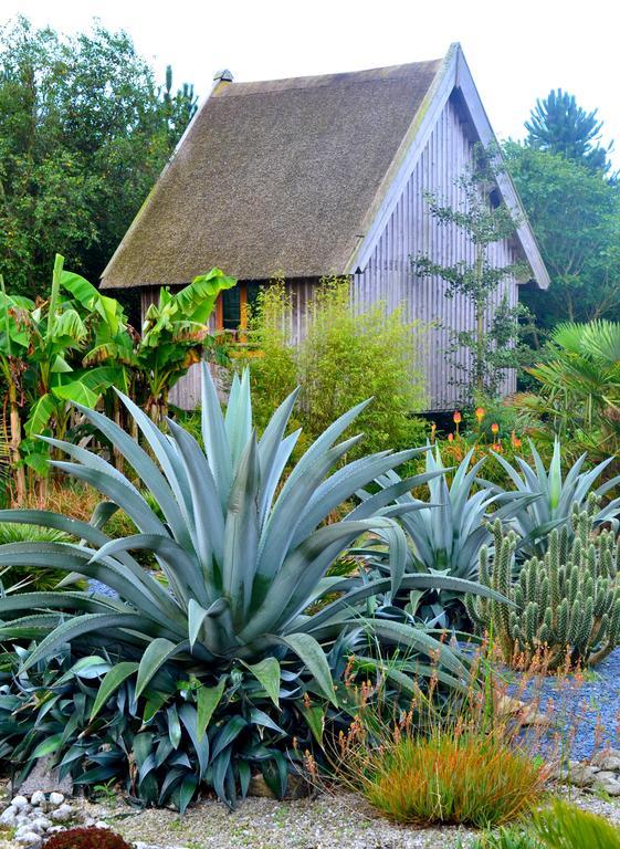 Chambres D'Hotes Le Nid D'Iroise Lanildut Rum bild
